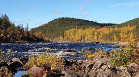 Kanutour auf dem Fluss Ivalojoki