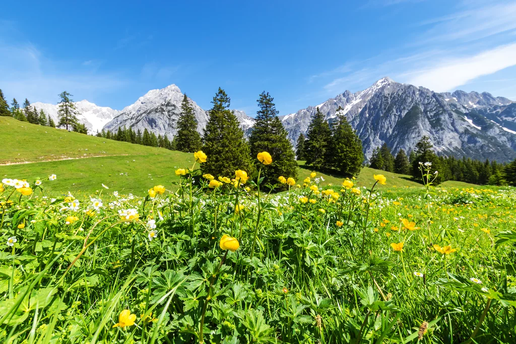 Von Garmisch nach Meran - Alpenüberquerung light