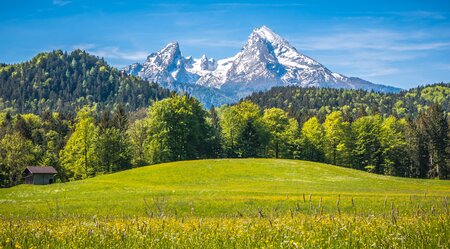 Bayerns Alpen & Seen 8 Tage