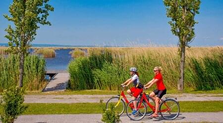 Neusiedlersee Rundfahrt - Wein und mehr im Dreiländereck