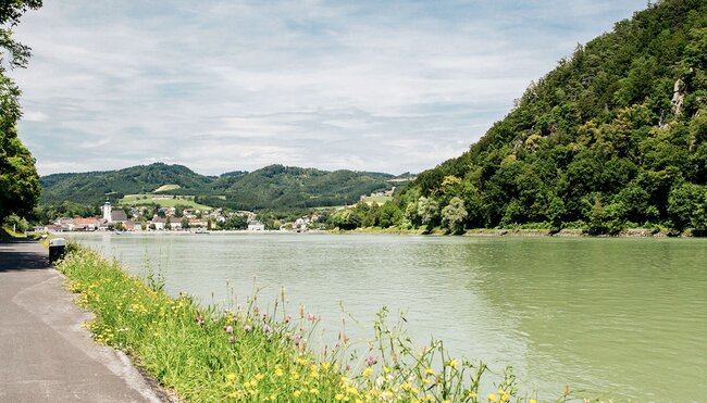 Der Donau-Bodensee-Radweg