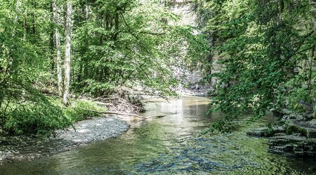 Die leichte Südschwarzwald-Runde