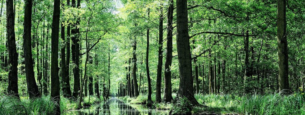 MS Marylou - Spreewald & Höhepunkte Berlins und Potsdams mit Rad & Schiff