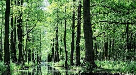 MS Marylou - Spreewald & Höhepunkte Berlins und Potsdams mit Rad & Schiff