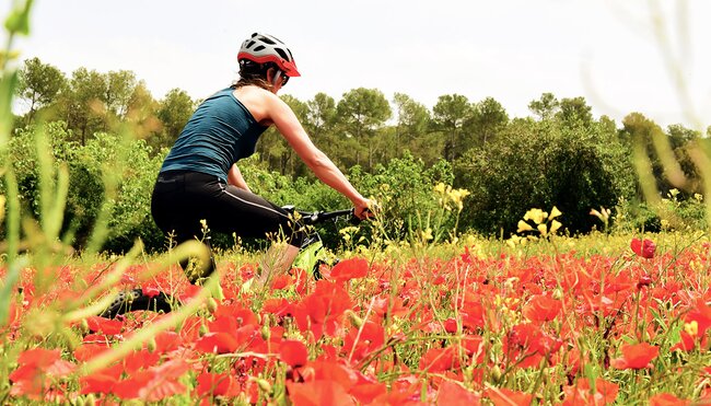 Katalonien - Wein- und Küstentour - Auf den Spuren katalanischer Geschichte
