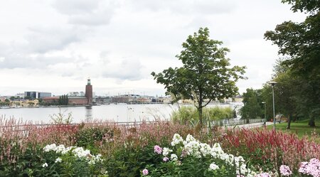 Schweden - Stockholm vom 3* Standorthotel aus erkunden