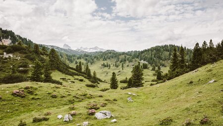 Dachstein Rundwanderweg - Der Klassiker in 10 Tagen/ 9 Nächte - Wandern ohne Gepäck