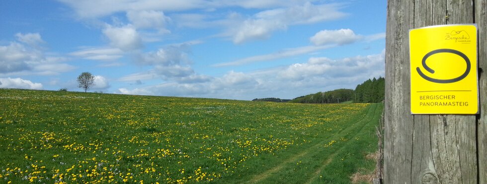 Bergischer-Panoramasteig