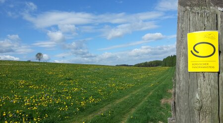 8 Tage Bergischer Panoramasteig Tour B: von Marienheide nach Ründeroth