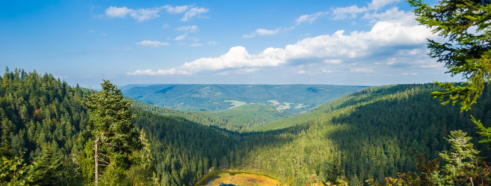 Baiersbronn Schwarzwald