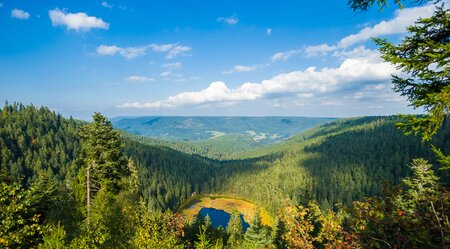 Der Seensteig im Schwarzwald