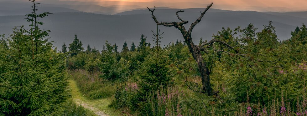 Fichtelberg Kammweg