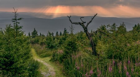 7 Tage Kammweg 1. Abschnitt: Blankenstein nach Muldenberg