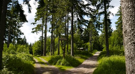 Rennsteig Abschnitt 1: Hörschel – Frauenwald - kurze Etappen