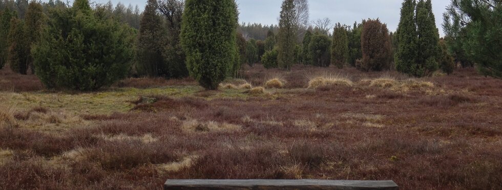 Heidschnuckenweg Lüneburger Heide