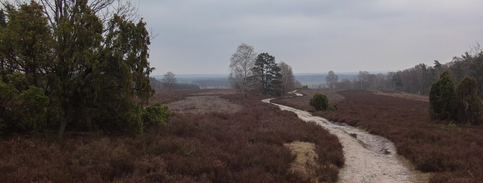 Heidschnuckenweg Lüneburger Heide