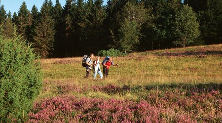 Rothaarsteig-Westerwald in 5 Etappen Dillenburg bis Dillenburg - Standorthotel