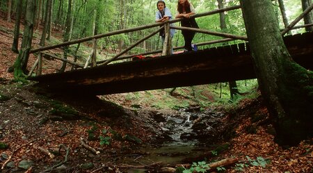 Rothaarsteig-Westerwald in 2 Etappen Wasserscheide bis Dillenburg - Standorthotel