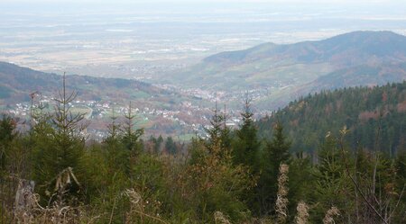 7 Tage Westweg 2. Abschnitt von der Alexanderschanze zum Titisee