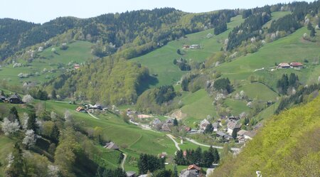 8 Tage Westweg 2. Abschnitt von Schonach nach Basel