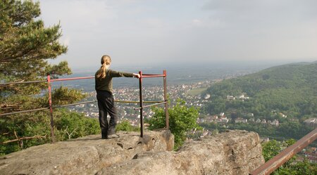 7 Tage Pfälzer Weinsteig von Burrweiler nach Schweigen