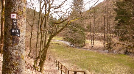 7 Tage Lahnwanderweg von der Lahnquelle nach Niederwalgern