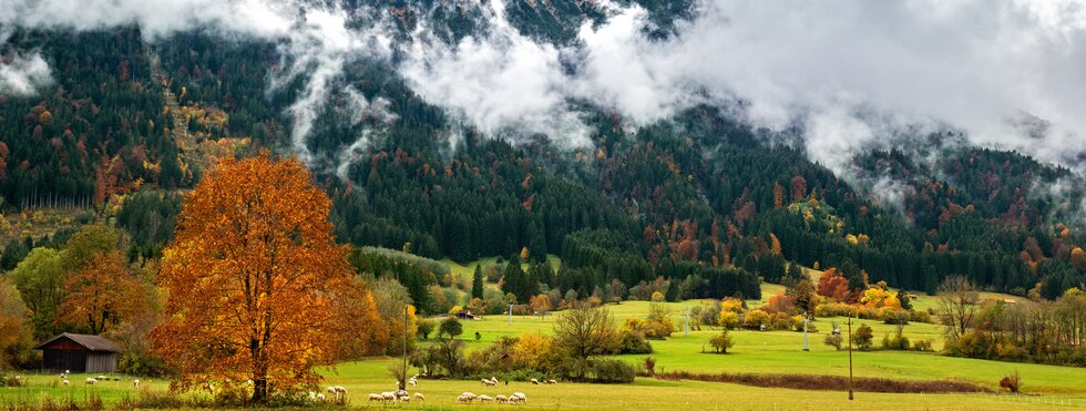 Bei Pfronten, Allgäu, Bayern