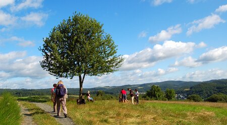 7 Tage Lahn-Dill-Bergland-Pfad