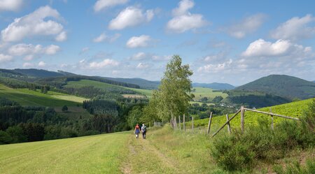 Rothaarsteig: Von Jagdhaus nach Dillenburg