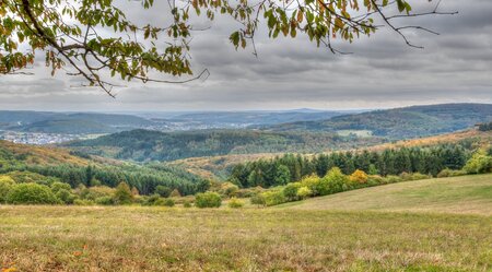 Rothaarsteig: Von Brilon nach Dillenburg in 8 Tagen