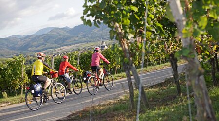 Komfortreise Südschwarzwald Radweg