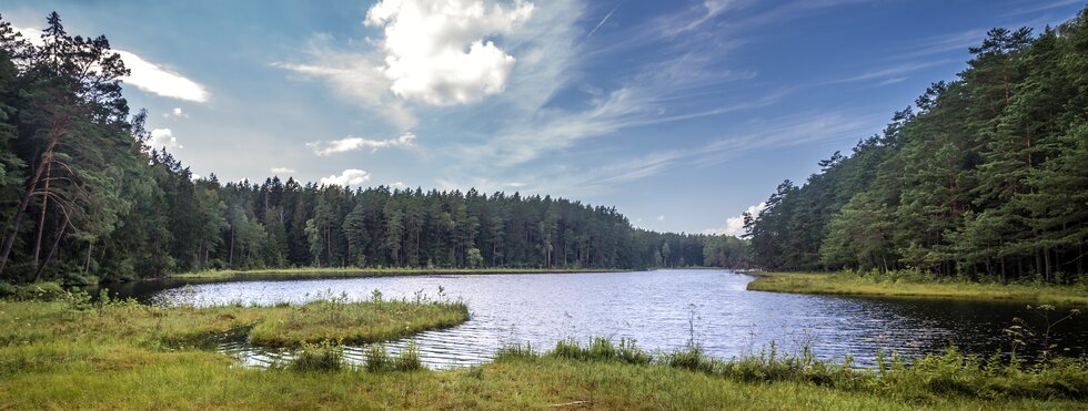  Suchar Wielki See im Wigry Nationalpark, Podlasie Region Polen