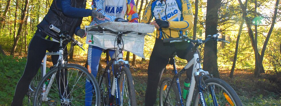 Radfahrer am Waldesrand