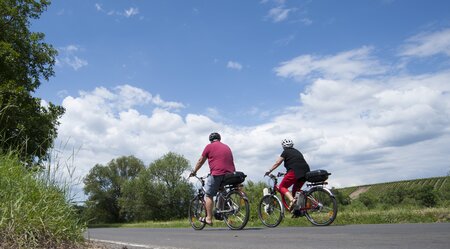 Mosel-Radweg Klassiker Von Metz nach Koblenz