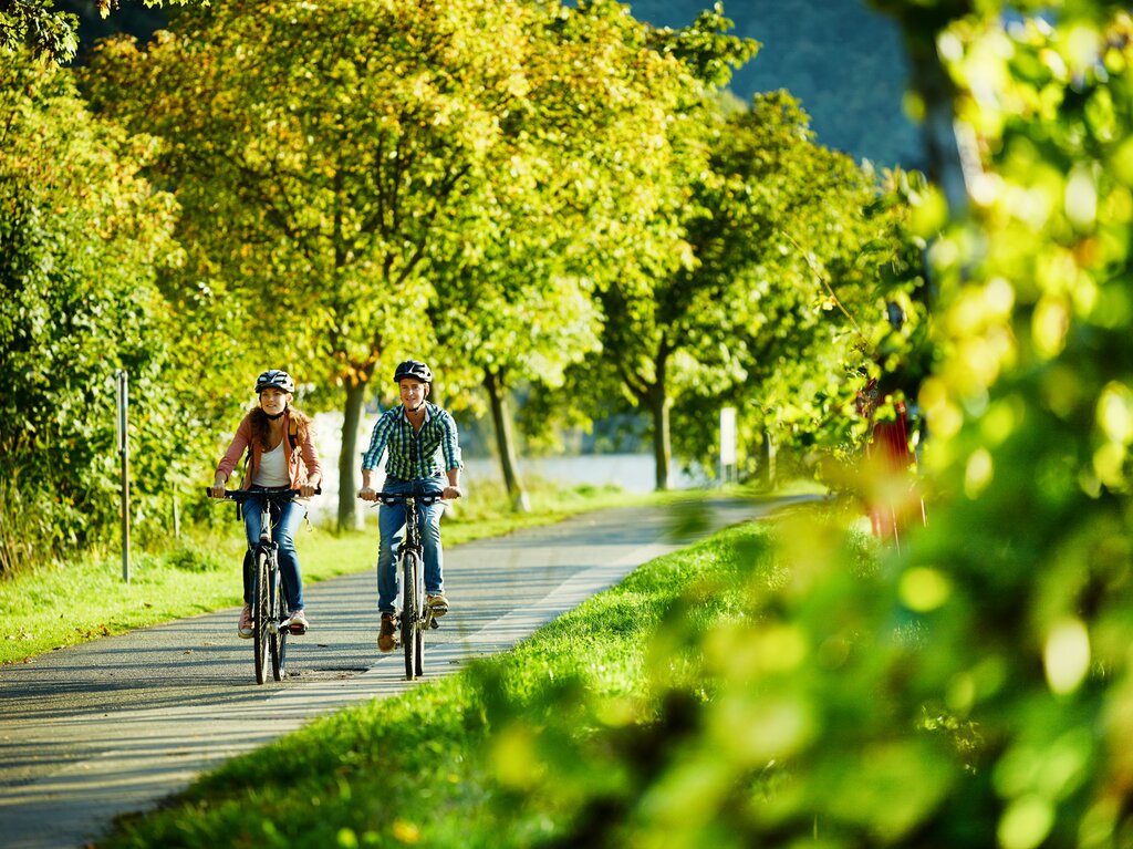 Mosel-Radweg Bummeltour Von Metz nach Koblenz
