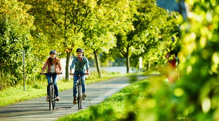 Mosel-Radweg Bummeltour Von Metz nach Koblenz