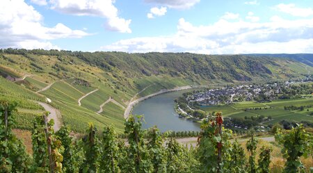 Kurztrip an die Mittelmosel - Radtour von Trier nach Traben-Trarbach