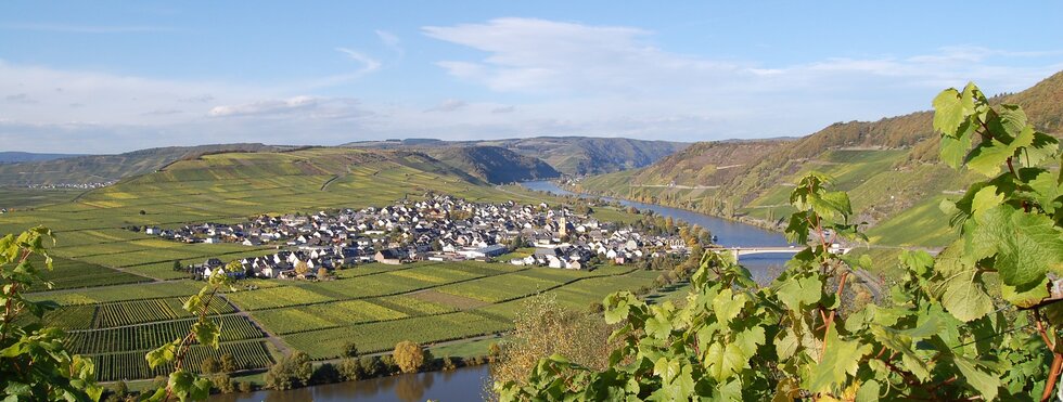 Weinberge Mosel