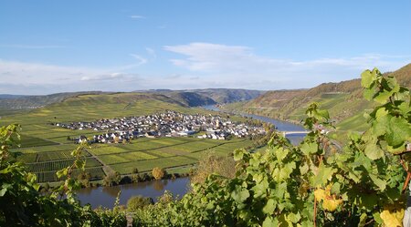 Mosel-Radweg Sportlich -Von Trier nach Koblenz