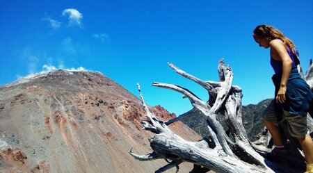 Selbstfahrerreise Chile - Nationalpark Pumalin