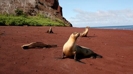 Galapagos Entdeckungsreise