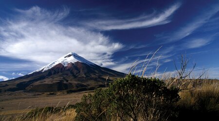 Das Beste von Ecuador & den Galapagos Inseln