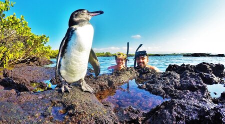 Das Beste der Galapagos Inseln