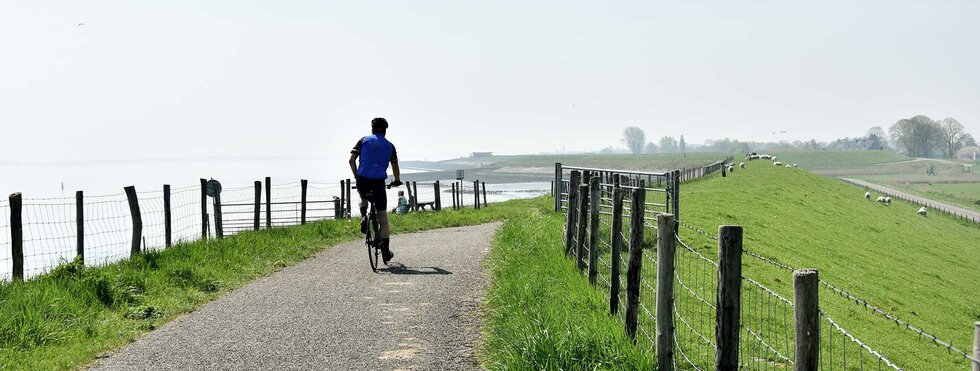 MS Olympia - Mit Rad & Schiff den Oosterschelde Nationalpark entdecken