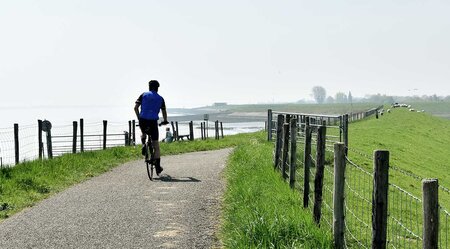 MS Olympia - Mit Rad & Schiff den Oosterschelde Nationalpark entdecken