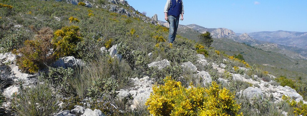Sierras bei Alicante