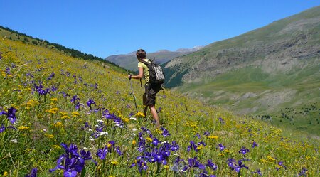 Wandern in den Pyrenäen von Andorra