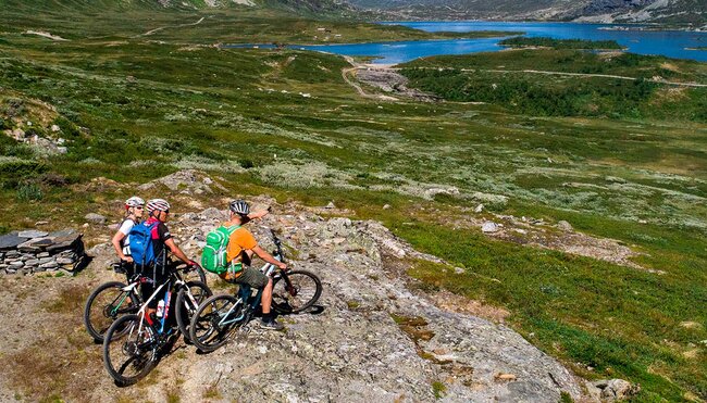 Mit dem Rad auf dem Mjølkevegen bei Jotunheimen