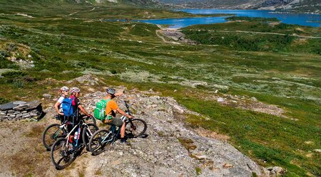 Mit dem Rad auf dem Mjølkevegen bei Jotunheimen