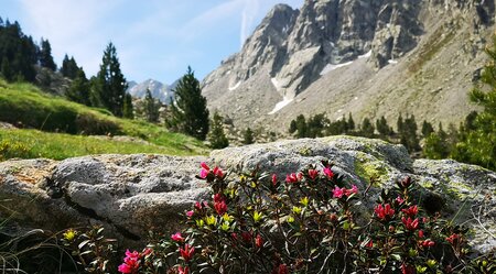 Pyrenäen - Die alpinen Juwelen Vall de Boi & Aigues Tortes 5 Tage